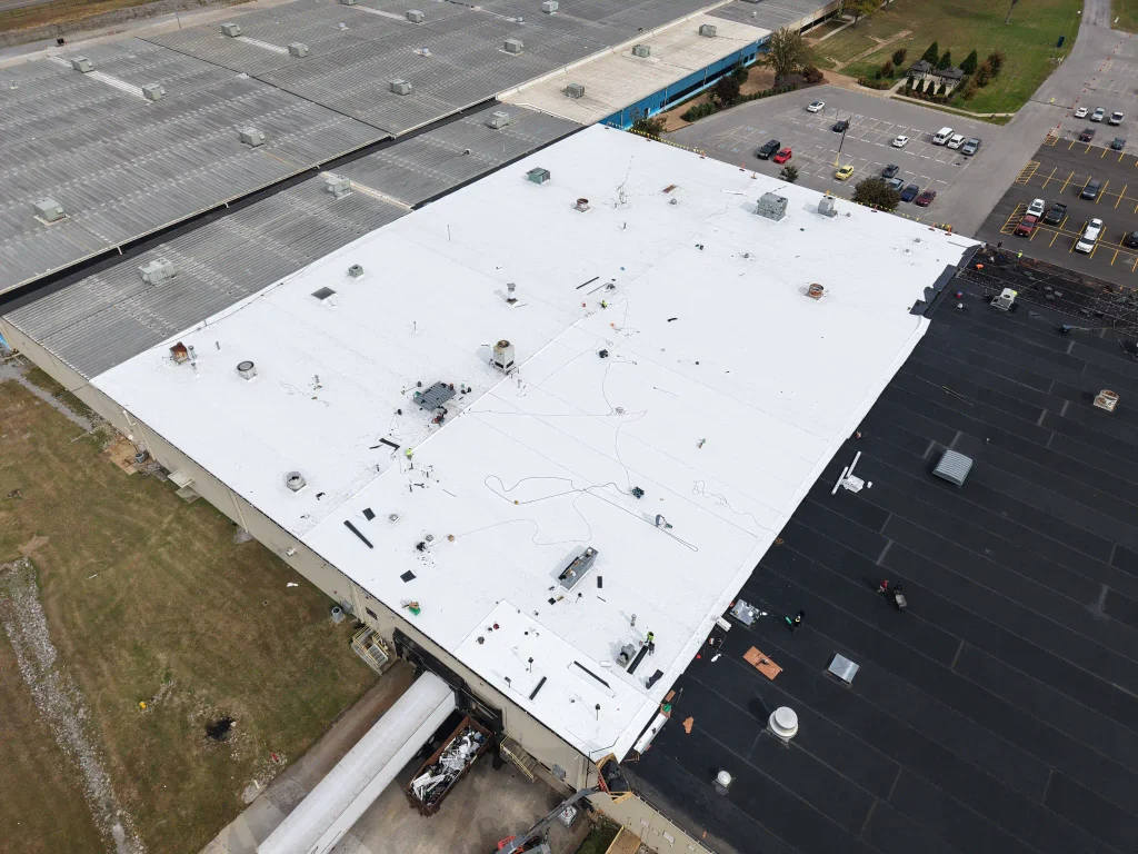 dji fly 20251024 133002 0001 1761357523281 photo 1