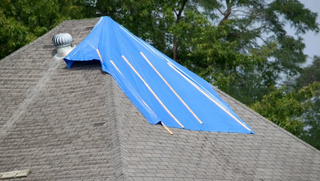 roof insurance